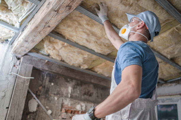 Insulation Air Sealing in Camden, TN